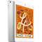 Apple iPad Mini 5th Gen MUQX2LL/A 7.9" Tablet 64GB WiFi, Silver (Refurbished)