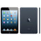 Apple iPad Mini MD528LL/A 7.9" Tablet 16GB WiFi, Slate (Refurbished)